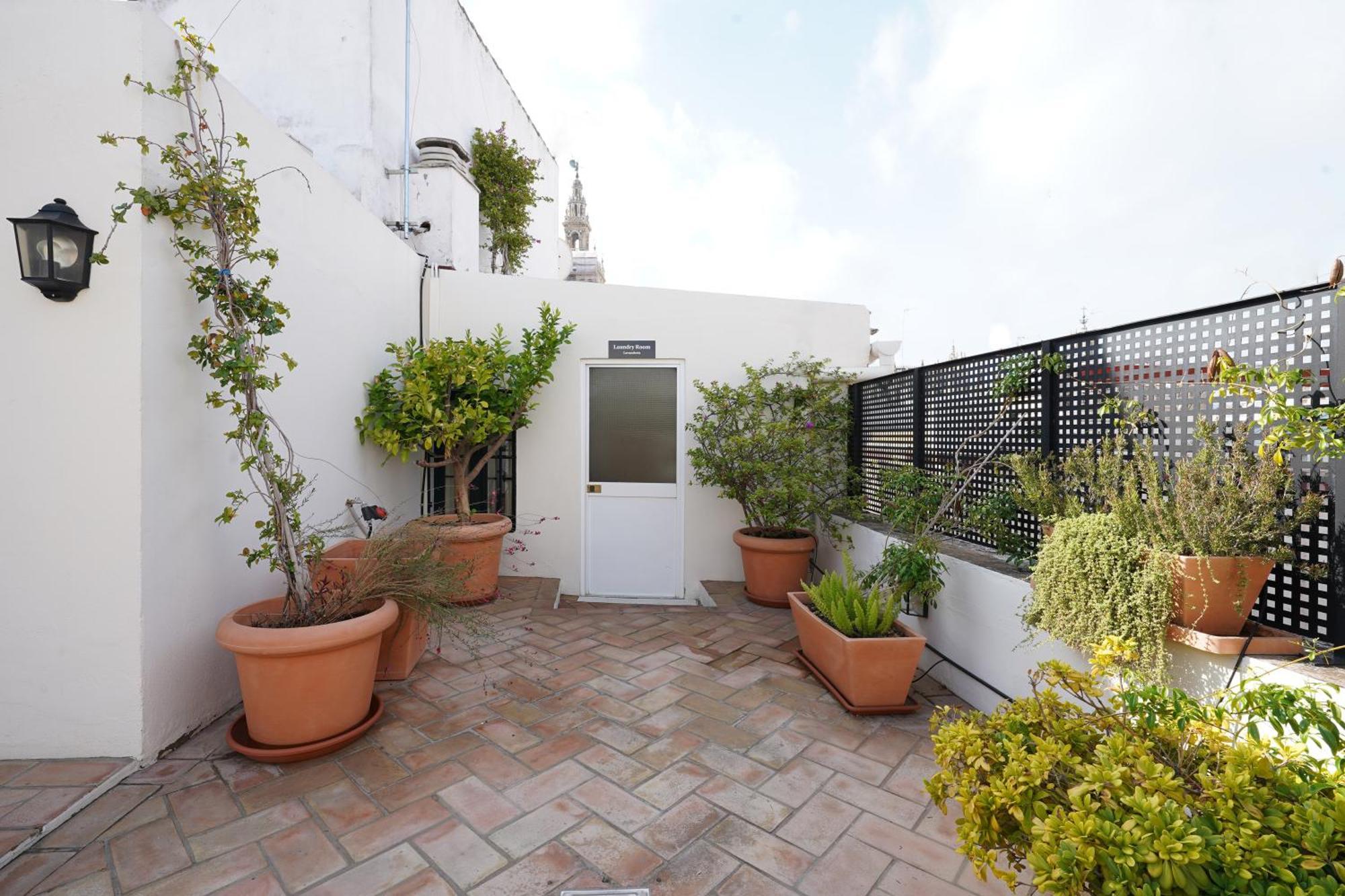 Numa Alegre Apartament