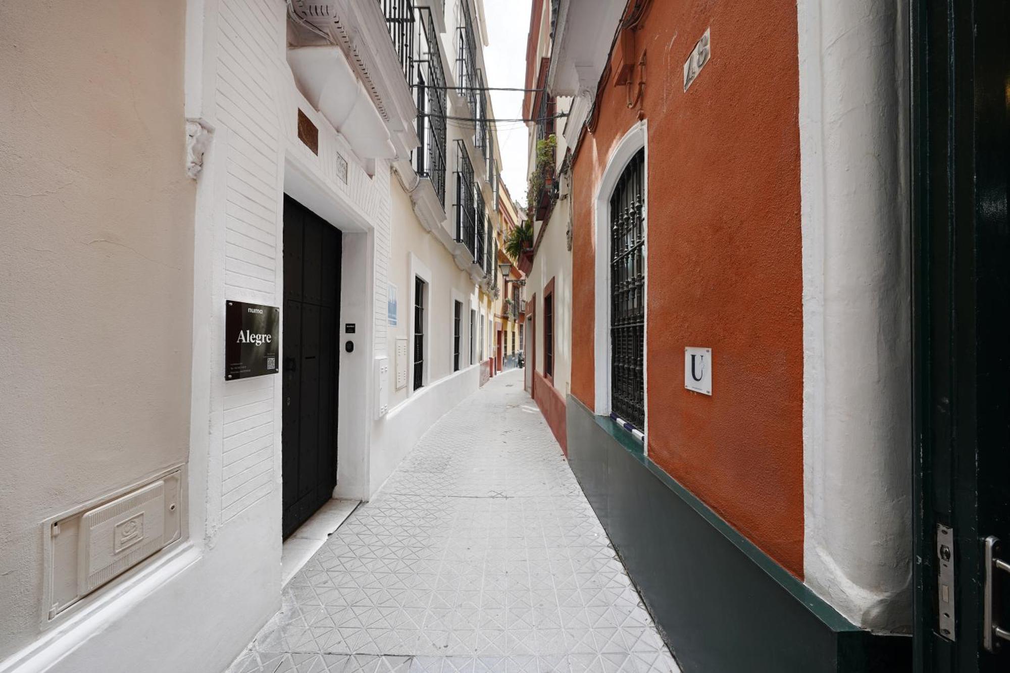Apartament Numa Alegre *