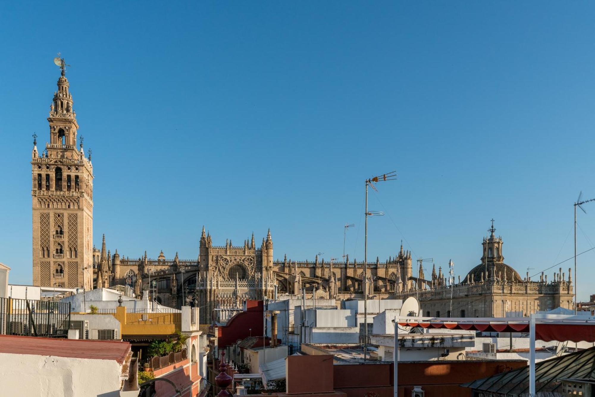Apartament Numa Alegre